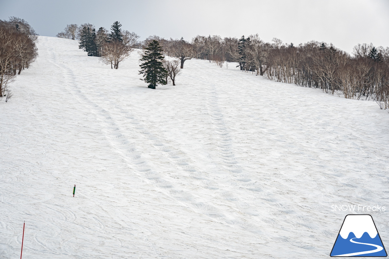 キロロリゾート｜いよいよ「ハイシーズン」は明日が最終日…。週明け4月6日からは「春シーズン」開幕でリフト料金がプライスダウン。まだまだ春も滑りましょう♪